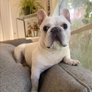 Meet your Posher, Marco